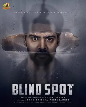 Blind Spot 2025 Hindi Dual Audio WEB-DL | Hindi Dubbed Movie