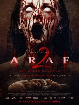 Araf 2 2019 Hindi Dual Audio | Hindi Dubbed Movie Web-DL [750MB]