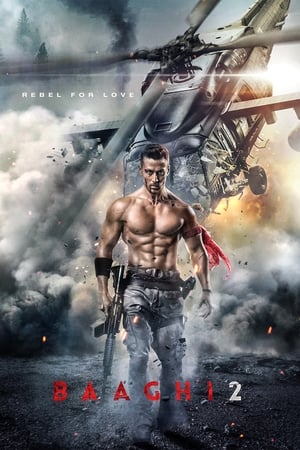 Baaghi 2 2018 Movie | Hindi Dubbed Movie HDRip- [400MB]