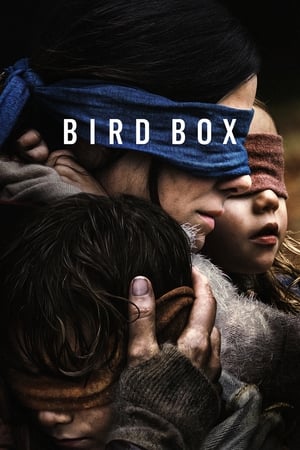 Bird Box 2018 Hindi (HQ DUBBED) Dual Audio | Hindi Dubbed Movie WehRip [1.1GB]