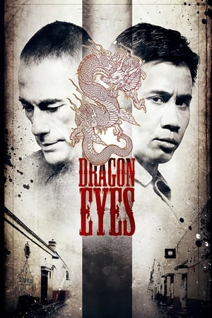 Dragon Eyes (2012) Hindi Dual Audio HDRip | Hindi Dubbed Movie – 480p