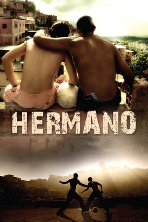 Hermano 2010 Hindi Dual Audio | Hindi Dubbed Movie BluRay 300MB