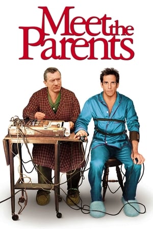 Meet the Parents 2000 Hindi Dual Audio | Hindi Dubbed Movie BluRay [930MB]