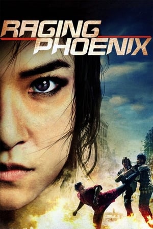 Raging Phoenix (2009) Hindi Dual Audio | Hindi Dubbed Movie HDRip 350MB