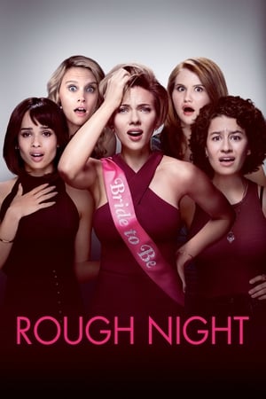 Rough Night (2017) Hindi Dual Audio | Hindi Dubbed Movie BluRay 400MB
