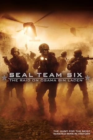 Seal Team Six: The Raid on Osama Bin Laden (2012) Hindi Dual Audio Full Movie | Hindi Dubbed Movie BluRay - 1.3GB