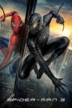 Spider-Man 3 (2007) Movie Hindi Dual Audio | Hindi Dubbed Movie Bluray [800MB]