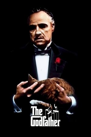 The Godfather Part I (1972) Dual Audio Hindi Movie | Hindi Dubbed Movie BluRay - 1GB