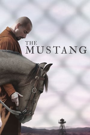 The Mustang (2019) Hindi Dual Audio | Hindi Dubbed Movie BluRay 300MB