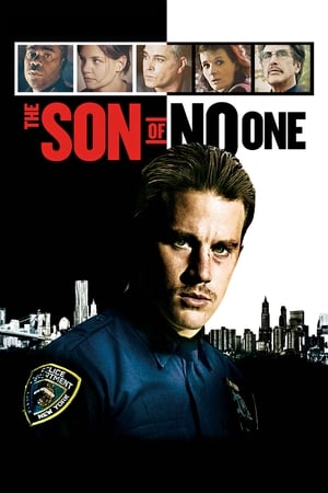 The Son of No One (2011) Hindi Dual Audio | Hindi Dubbed Movie BluRay [900MB]