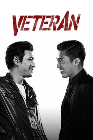 Veteran 2015 Hindi Dual Audio HDRip | Hindi Dubbed Movie – 720p – 480p